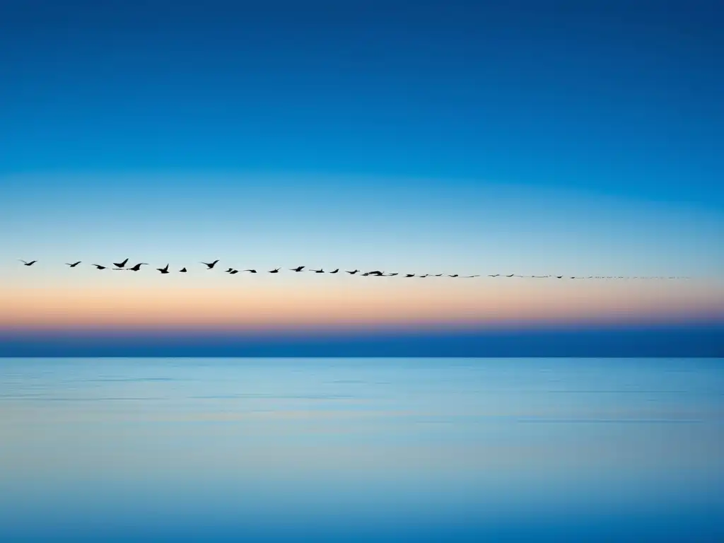 Importancia migraciones marinas: Océano azul con aves migratorias en silueta, simbolizando libertad, movimiento y conexión entre especies